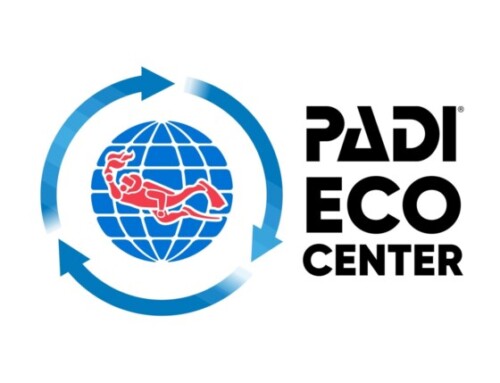ABC Dive officieel erkend als eerste PADI Eco Center van Nederland en Vlaanderen