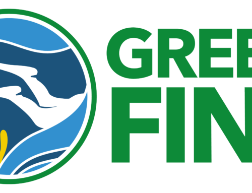 ABC Dive nu Green Fins gecertificeerd: grote stap voor milieubewust duiken 🌊